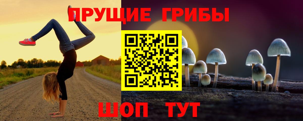 Видное  Галлюциногенные грибы ЛСД  наркошоп  Вход с VPN 